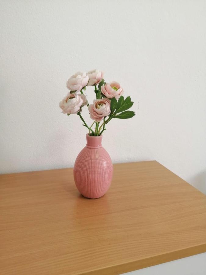 Holiday House Lara 스타리그라드 파클레니차 외부 사진